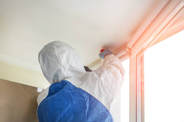 Best Residential Mold Inspection & Testing  in Greybull, WY